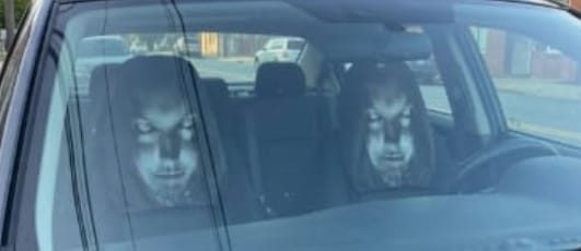 Customer photo review of Headboard cover horror