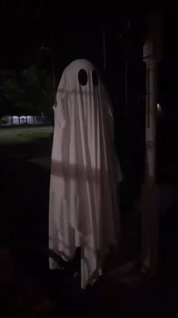 Customer photo review of ROXEIN™ GlowSwing Ghost