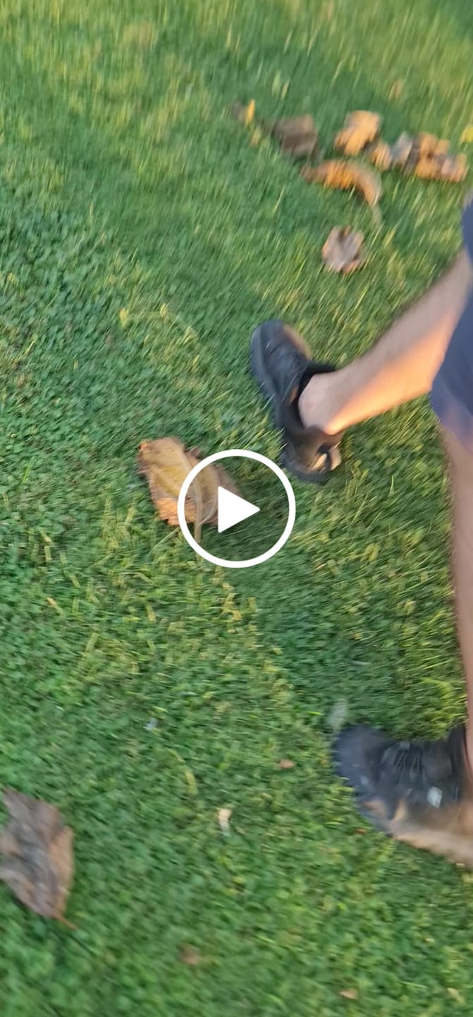 Customer video review of Stratus - Zapatos De Punta Ancha