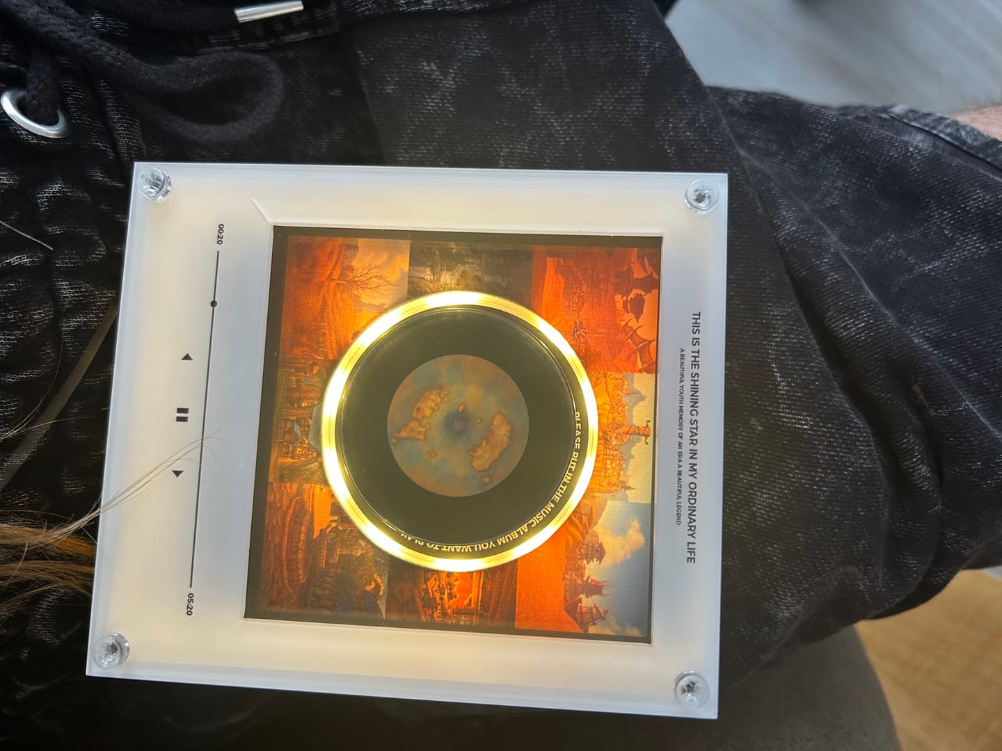 Customer photo review of RealmTunes™ Music Magnet