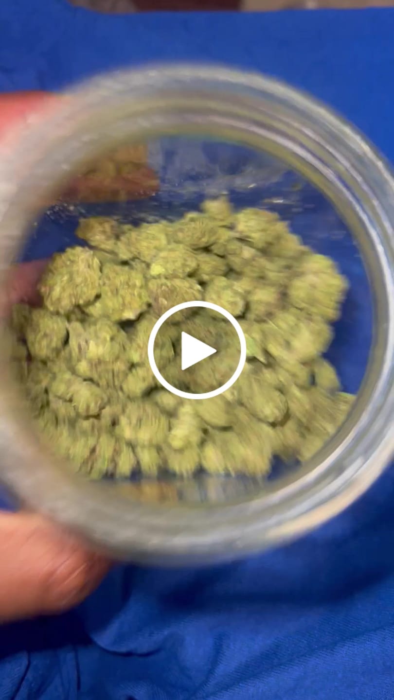 Customer video review of Light Assist THCA Smalls