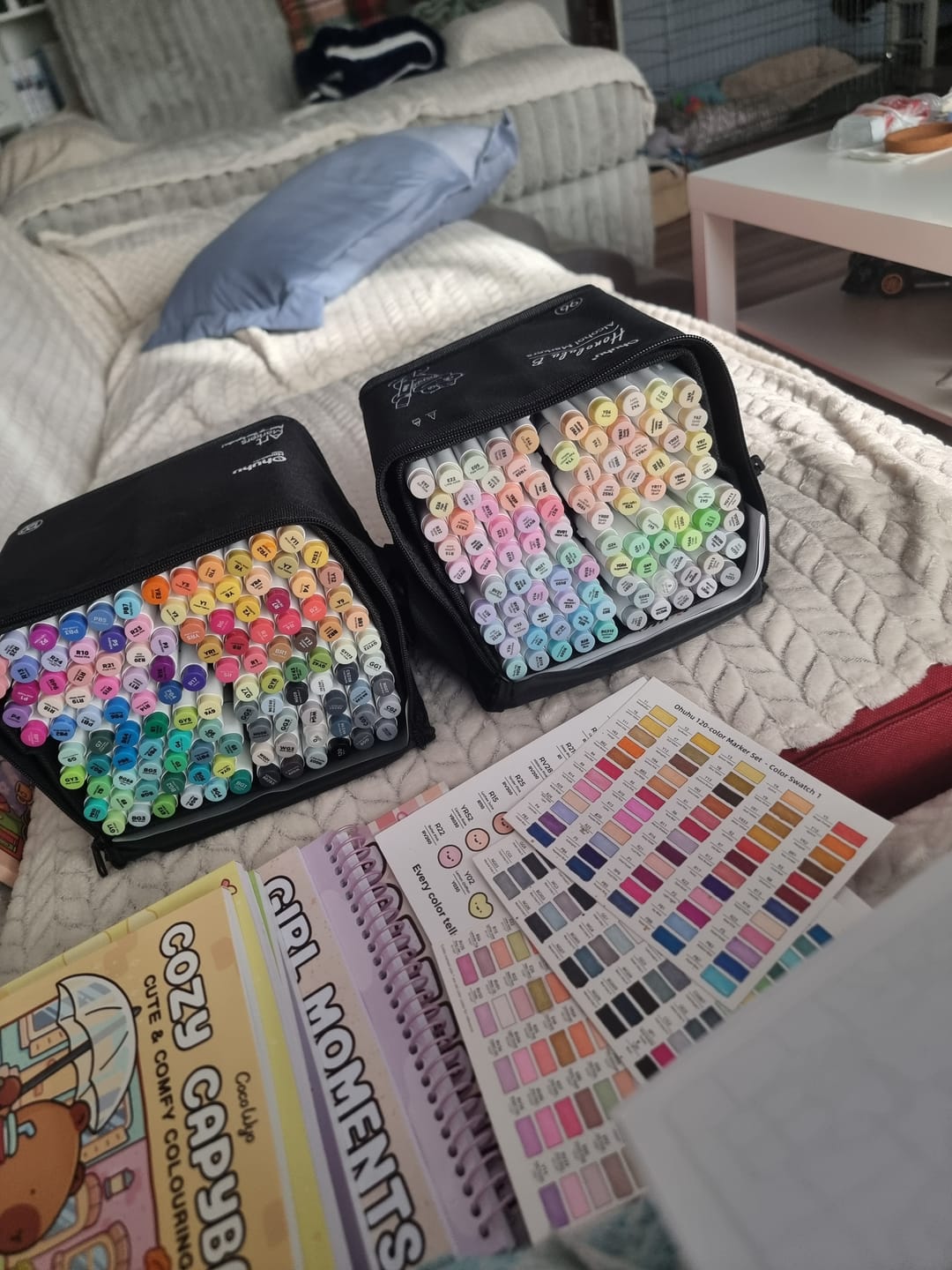 Customer photo review of Ohuhu Honolulu 96 Pastel Colors Alcohol Art Markers - Sweetness & Blossoming (New Color Codes)