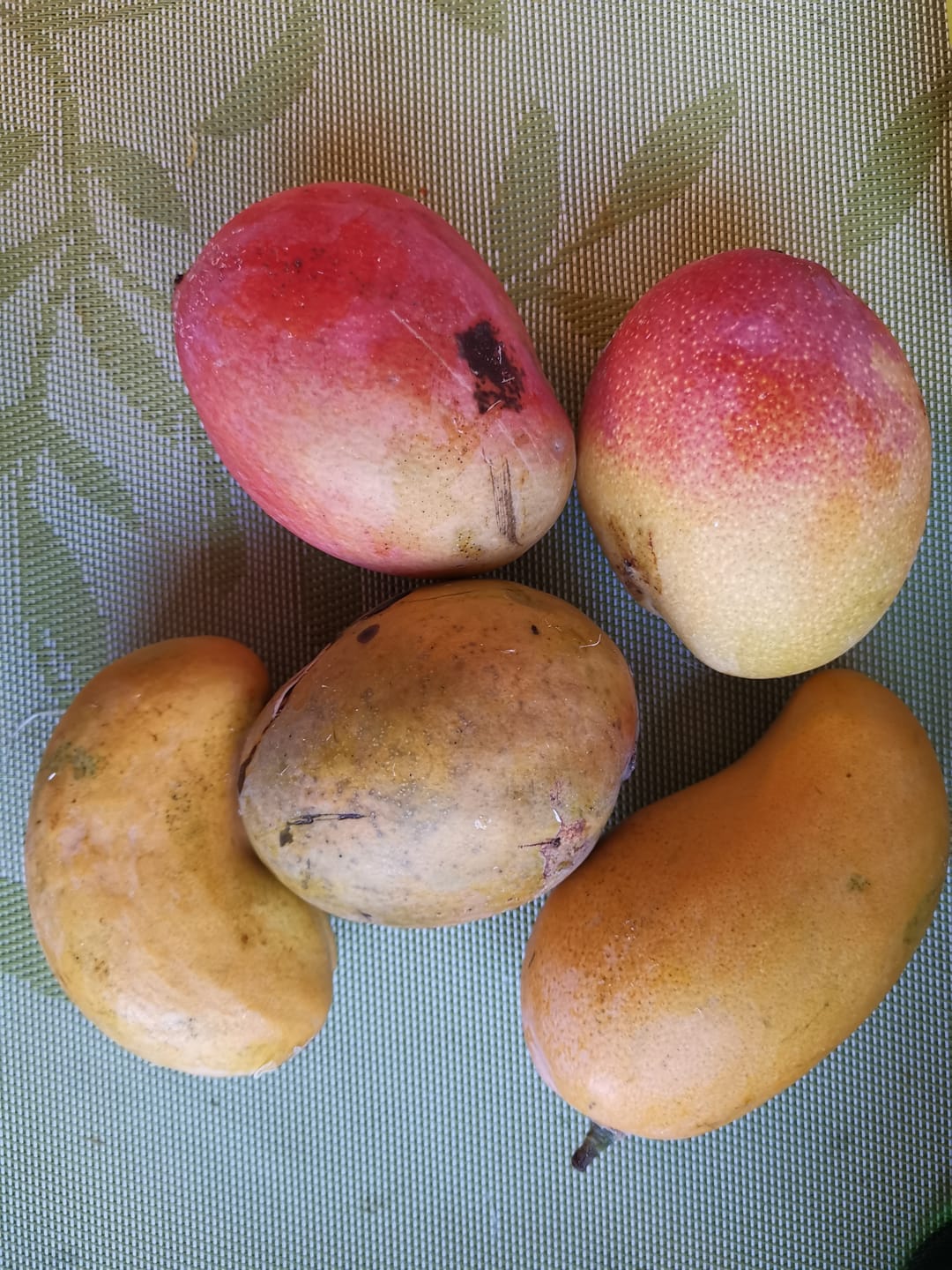Customer photo review of Mango Entdeckerbox (8-10 Sorten!)
