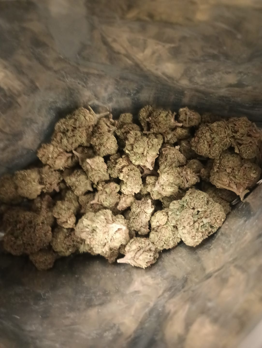 Customer photo review of Bulk THCA Flower Pounds