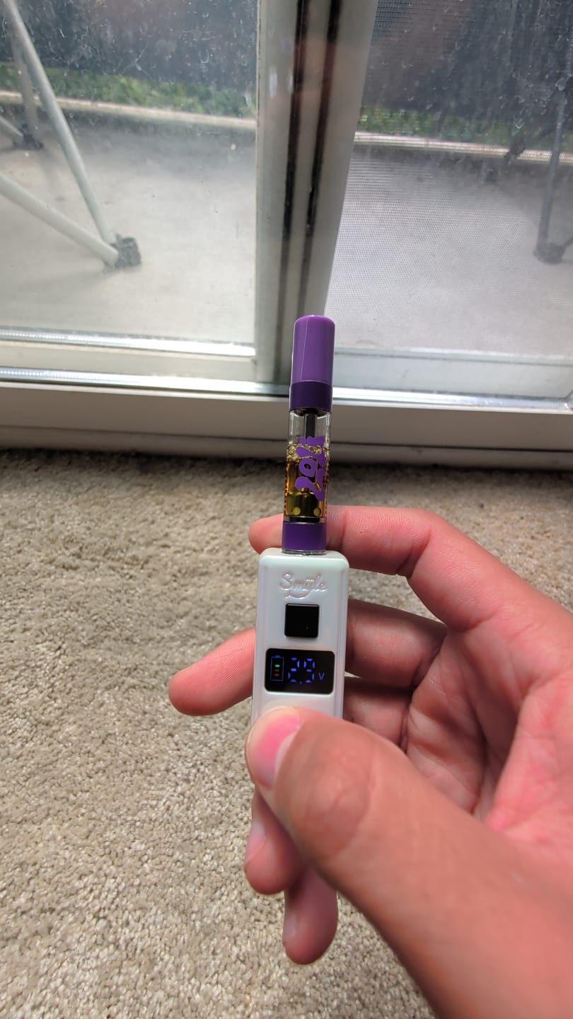 Customer photo review of Mini Plug 510 Cart Battery with Built-in USB-C Cable, Adjustable Voltage, LED Display