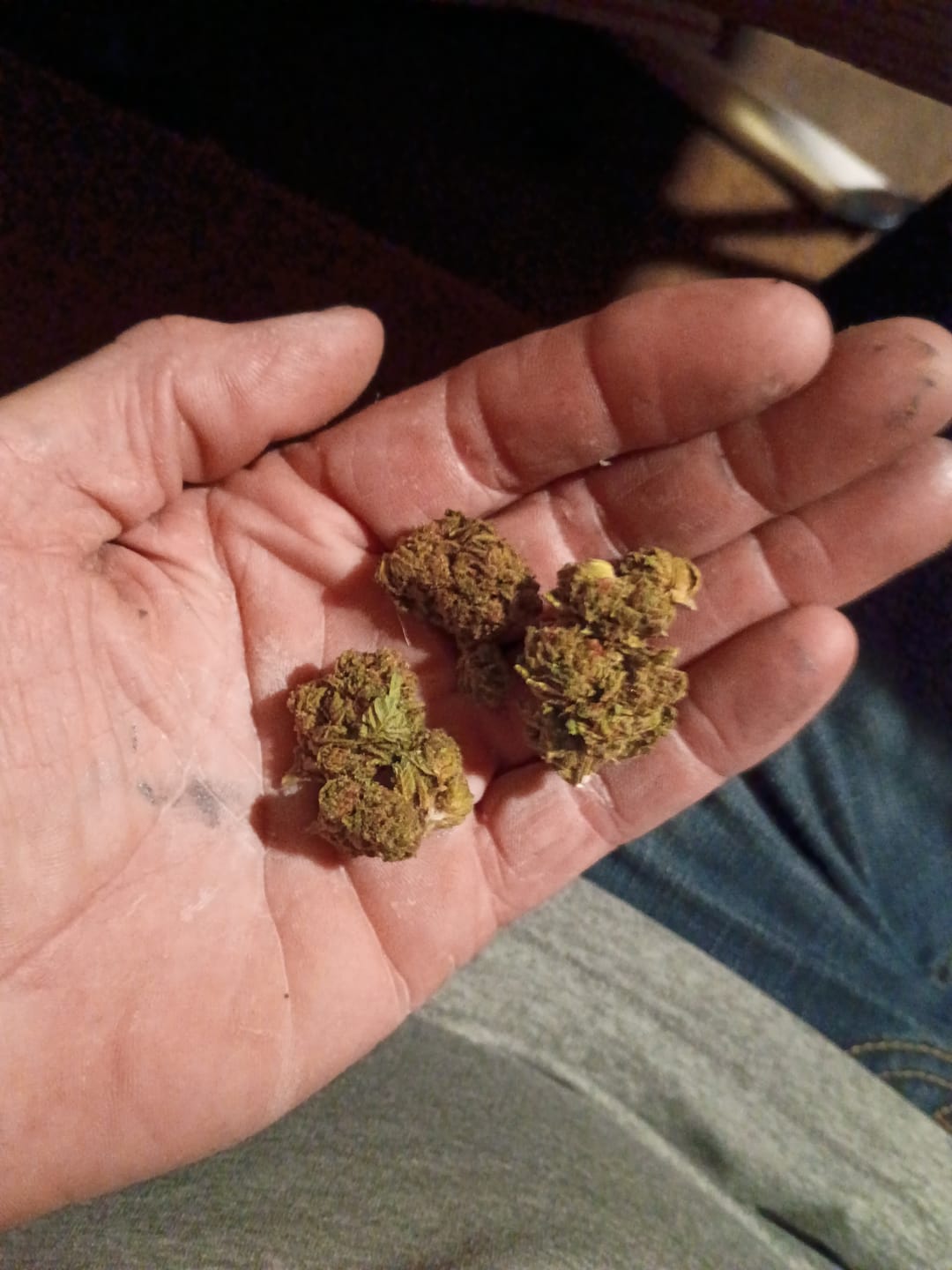 Customer photo review of Blackout Berries THCA Flower Ounce (28g)