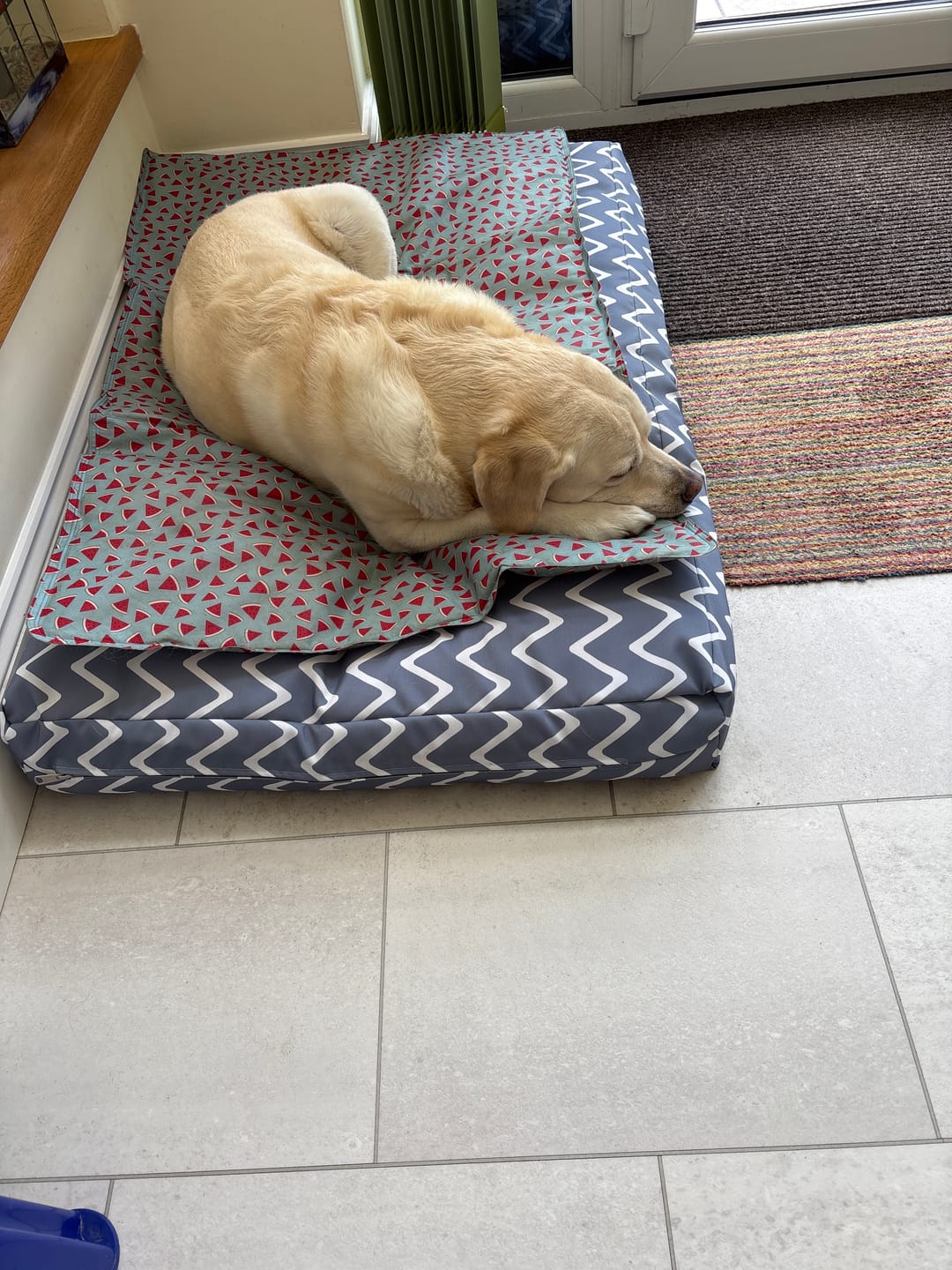 Customer photo review of Chevron Print Water Resistant Fabric