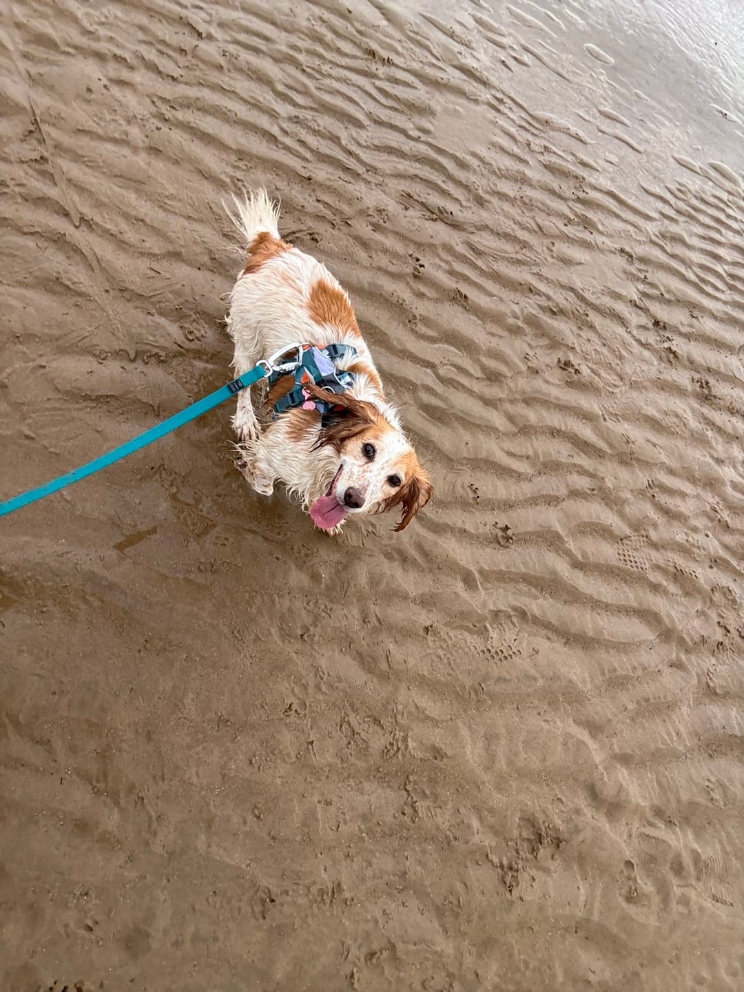 Customer photo review of Tidal Waterproof Longline