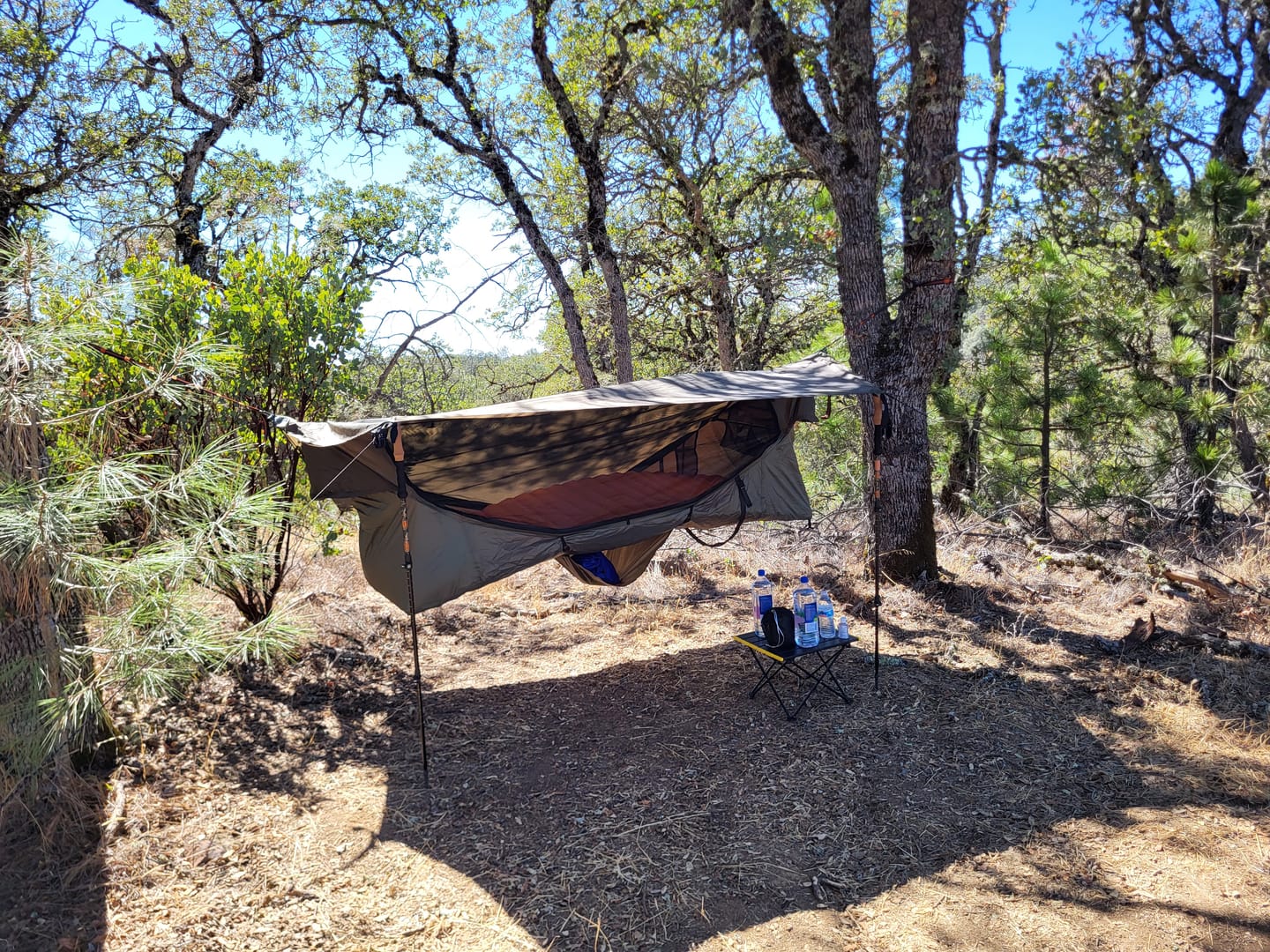 Customer photo review of Haven XL