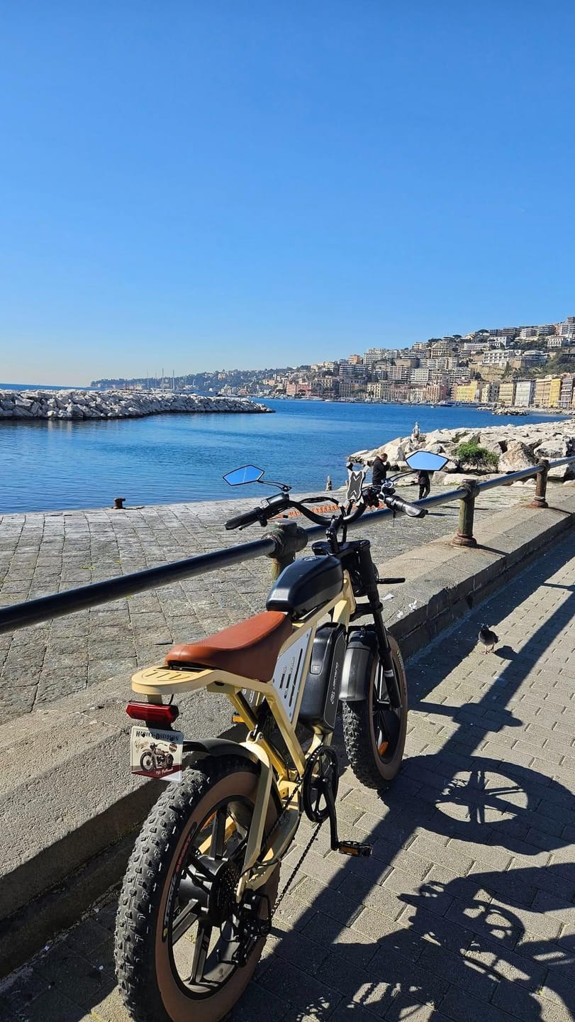 Customer photo review of JANSNO X70 Dual Battery Electric Bike