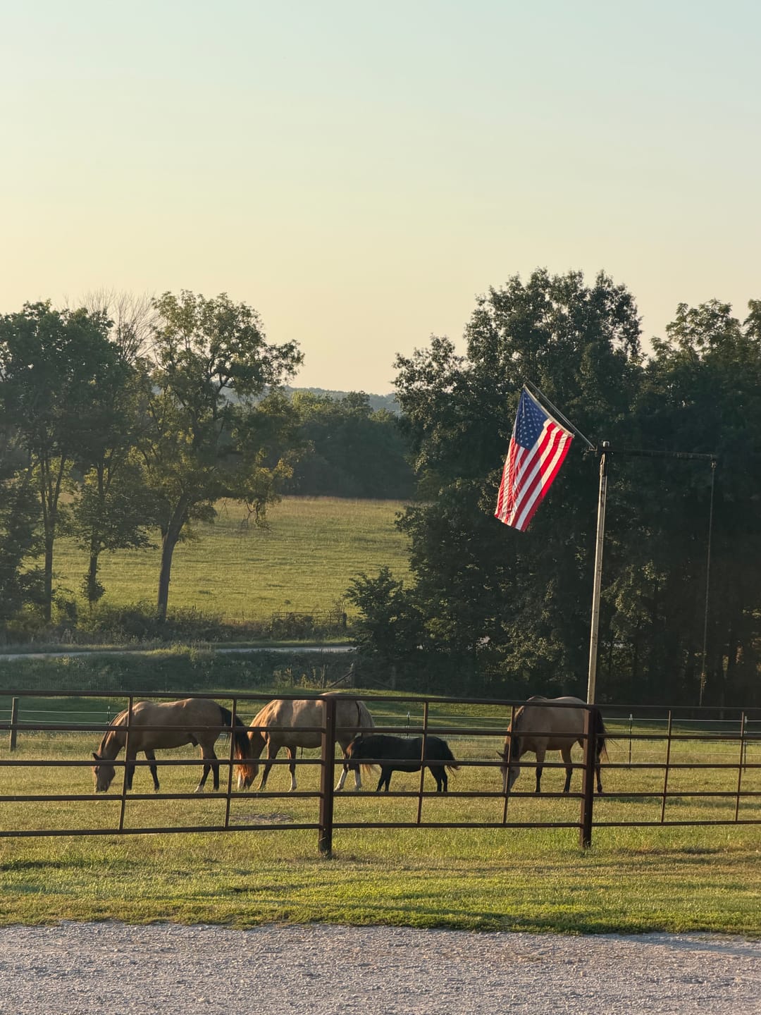 Customer photo review of 3' x 5' American Flag