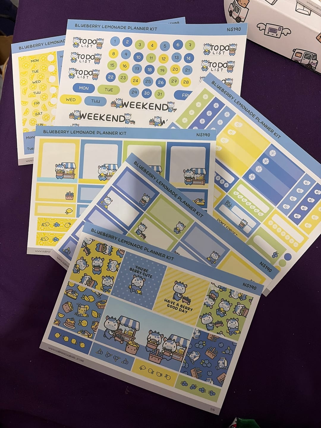 Customer photo review of Blueberry Lemonade Planner Kit (Set of 6)