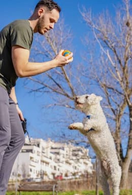 Customer photo review of Educación Vial Canina