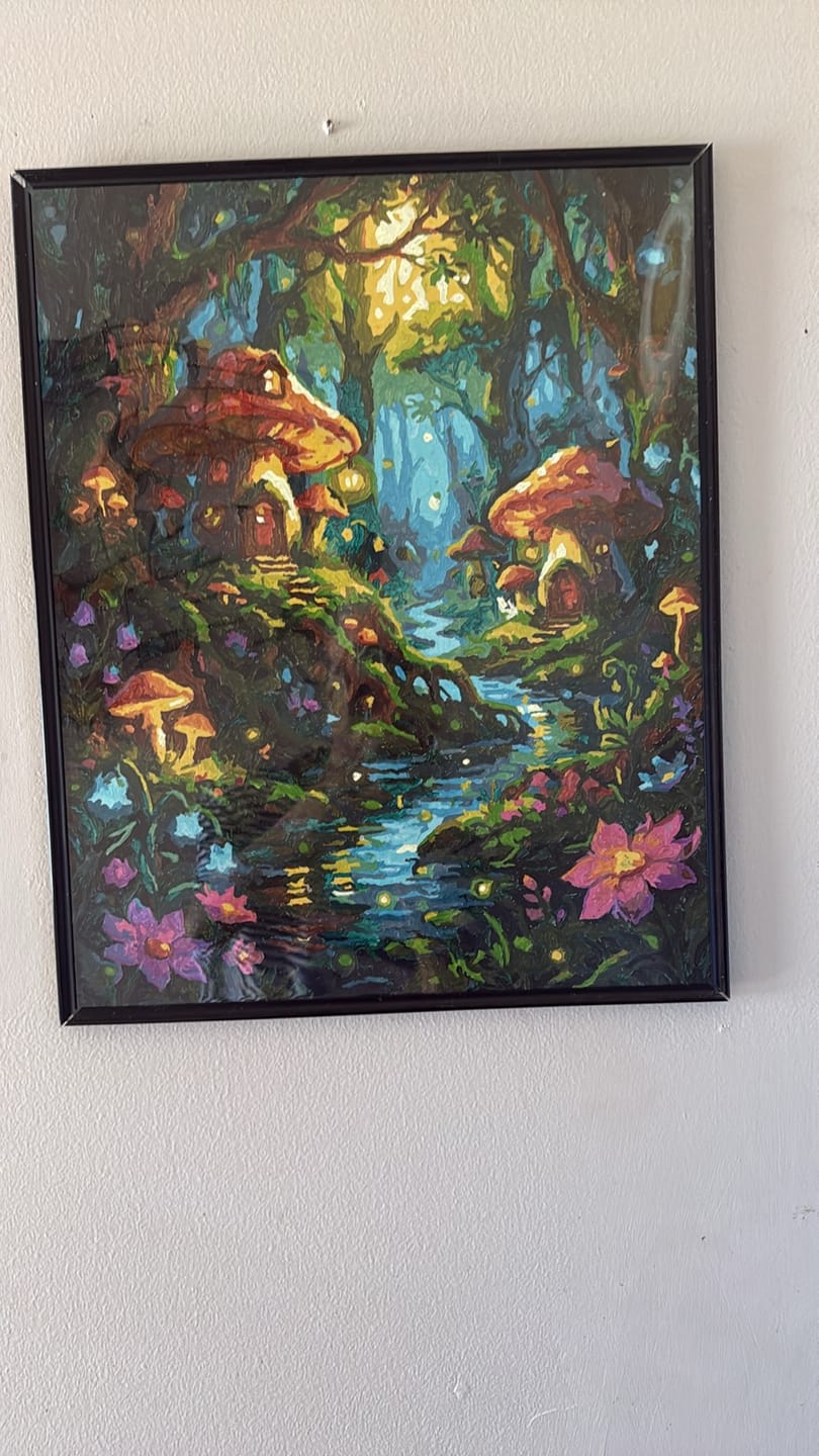 Customer photo review of Fairy Village Mushroom Houses (Paint by Numbers)