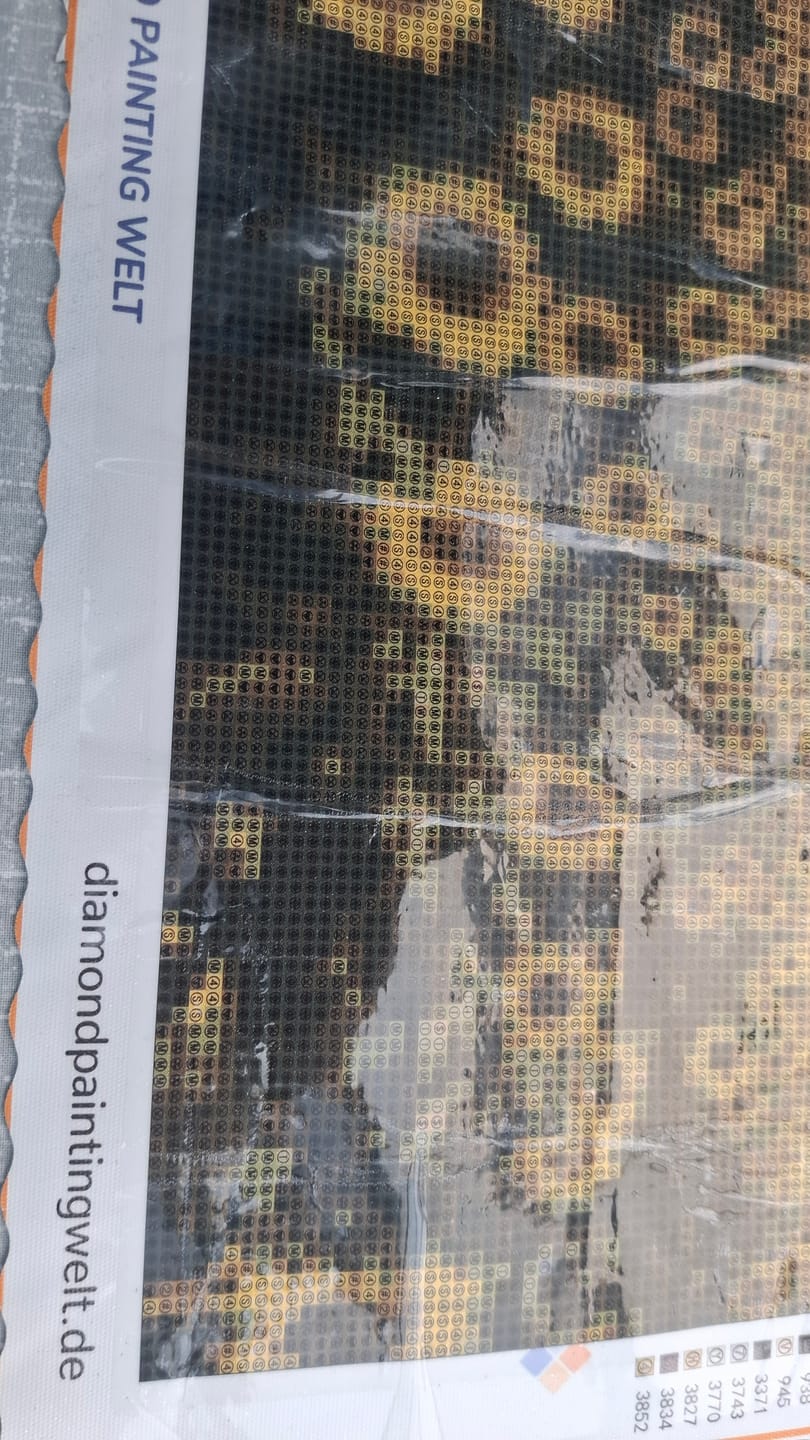 Customer photo review of Sonnenblumenfeld