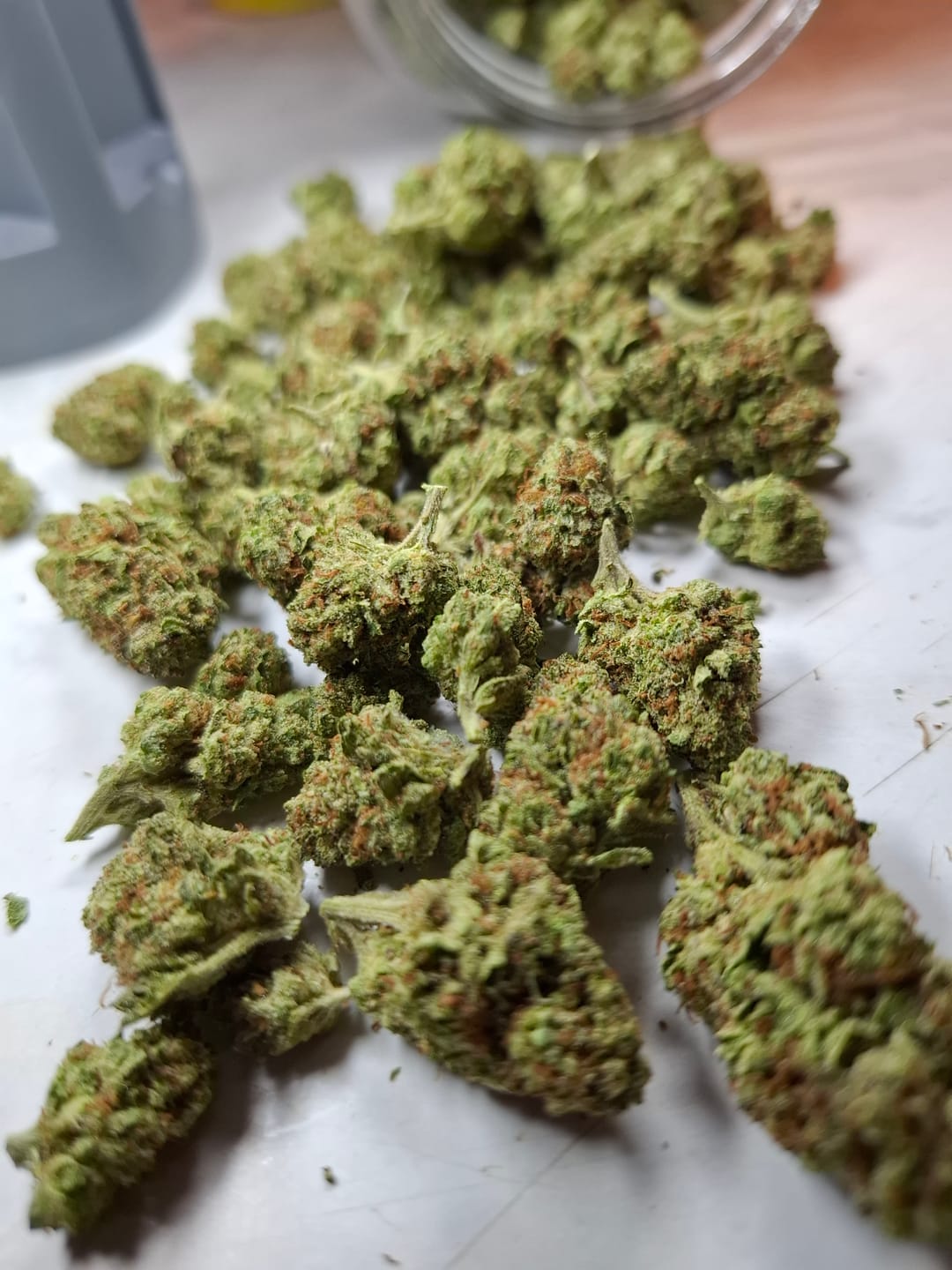 Customer photo review of THCA Queen