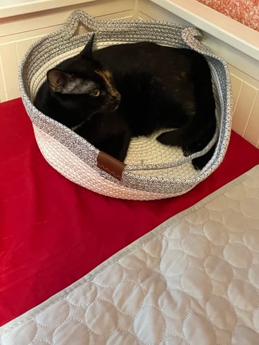 Kunden Fellnest Katzenkorb, ein runder geflochtener Korb in Grau und Weiß, in dem eine schwarze Katze liegt.