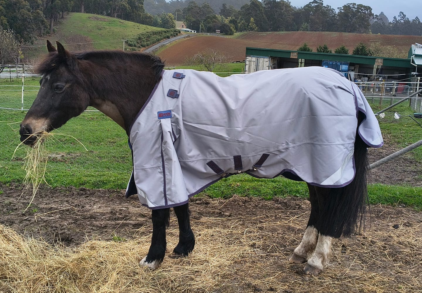 Customer photo review of LE Boxter Turnout Ripstop 50g
