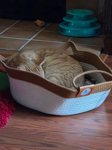 Customer's orange cat curled up sleeping in a white and brown Instinct Basket on a tiled floor.
