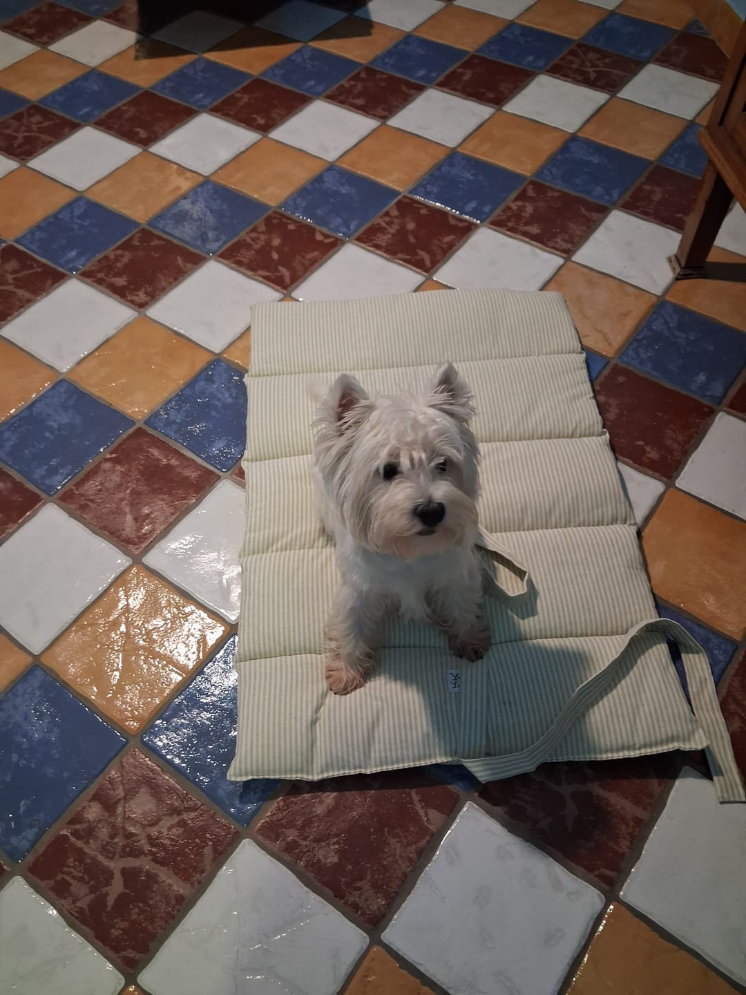 Customer photo review of Trapuntina Arrotolabile Cotone Verde Righe Strette