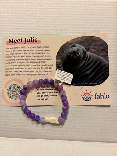 Customer's purple beaded Fahlo Monthly Club bracelet displayed next to an elephant seal informational card.