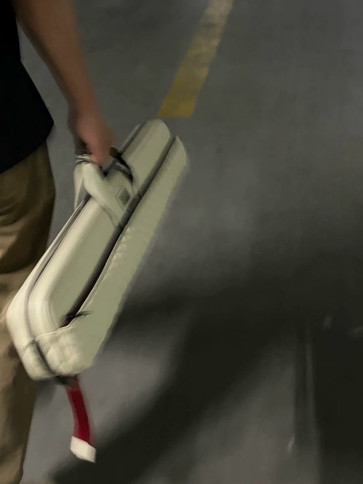 Customer photo review of Lizard Coco Series Cue Case 3B4S
