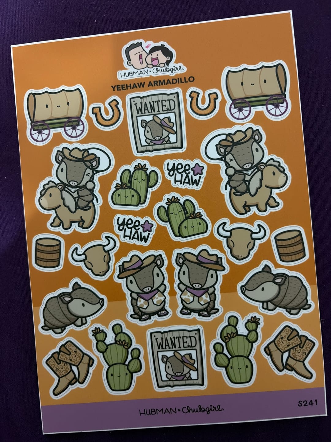 Customer photo review of Yeehaw Armadillo Sticker Sheet