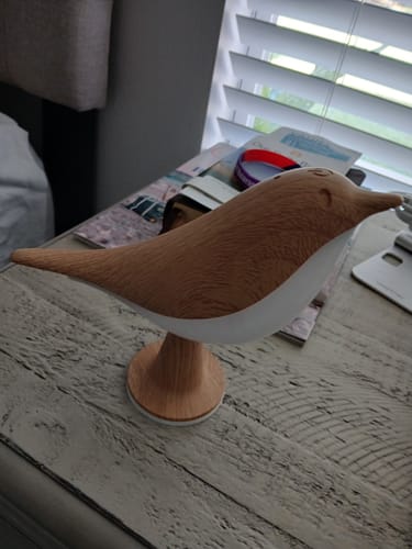 Customer's Glow Bird light on a textured surface next to books.