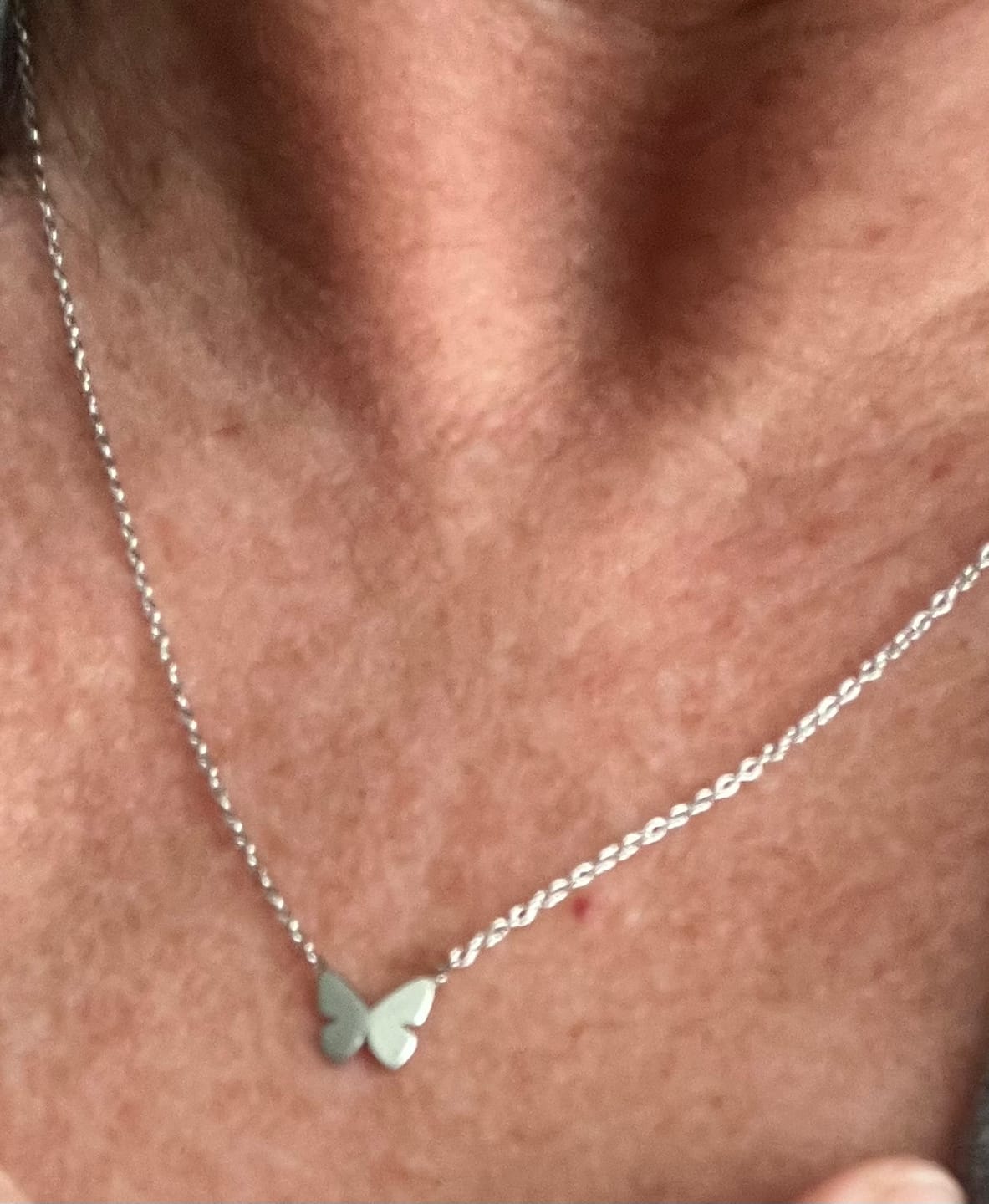 Customer photo review of Dainty Butterfly Pendant Necklace