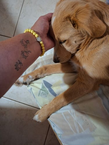 Customer photo review of Pulsera de Esperanza