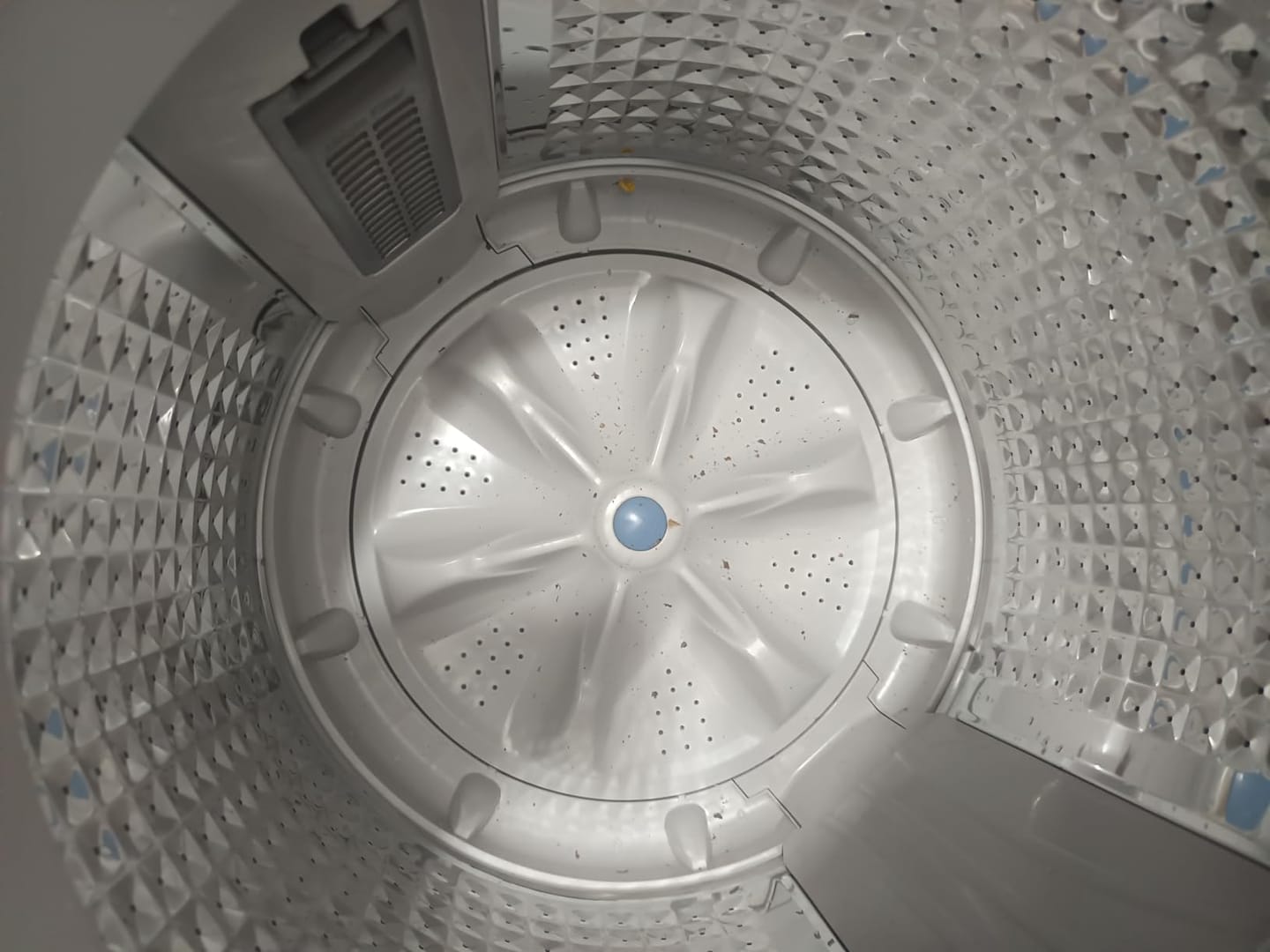 Customer photo review of Washing Machine Cleaner