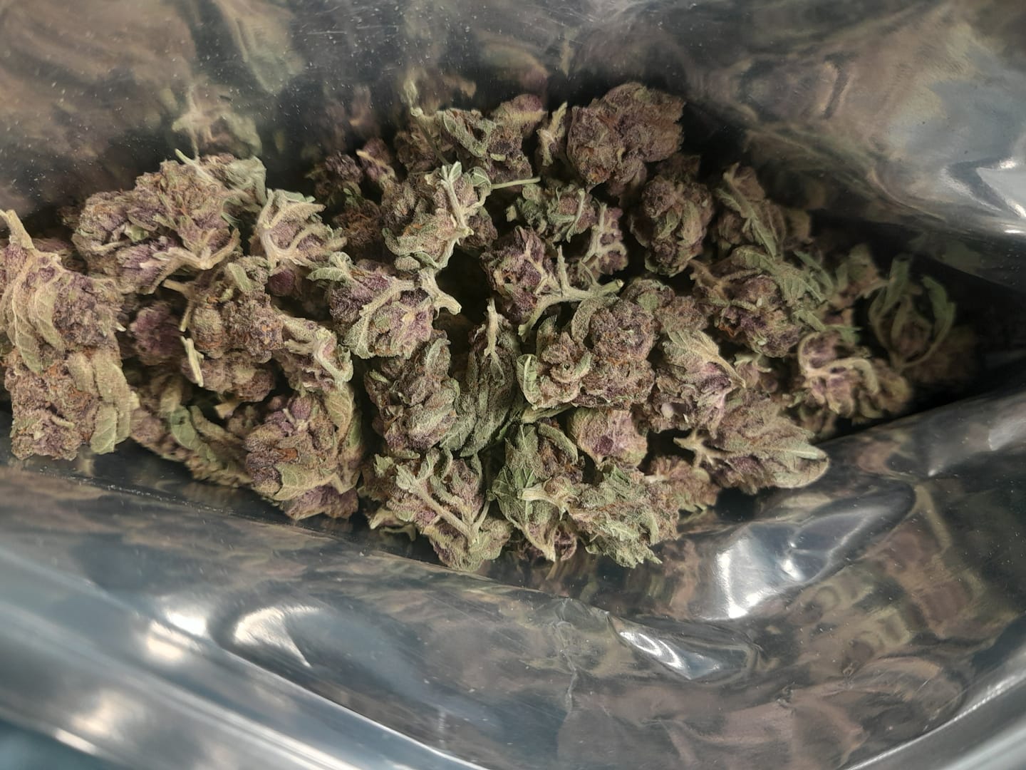 Customer photo review of Tropicana Cherry THCA Smalls