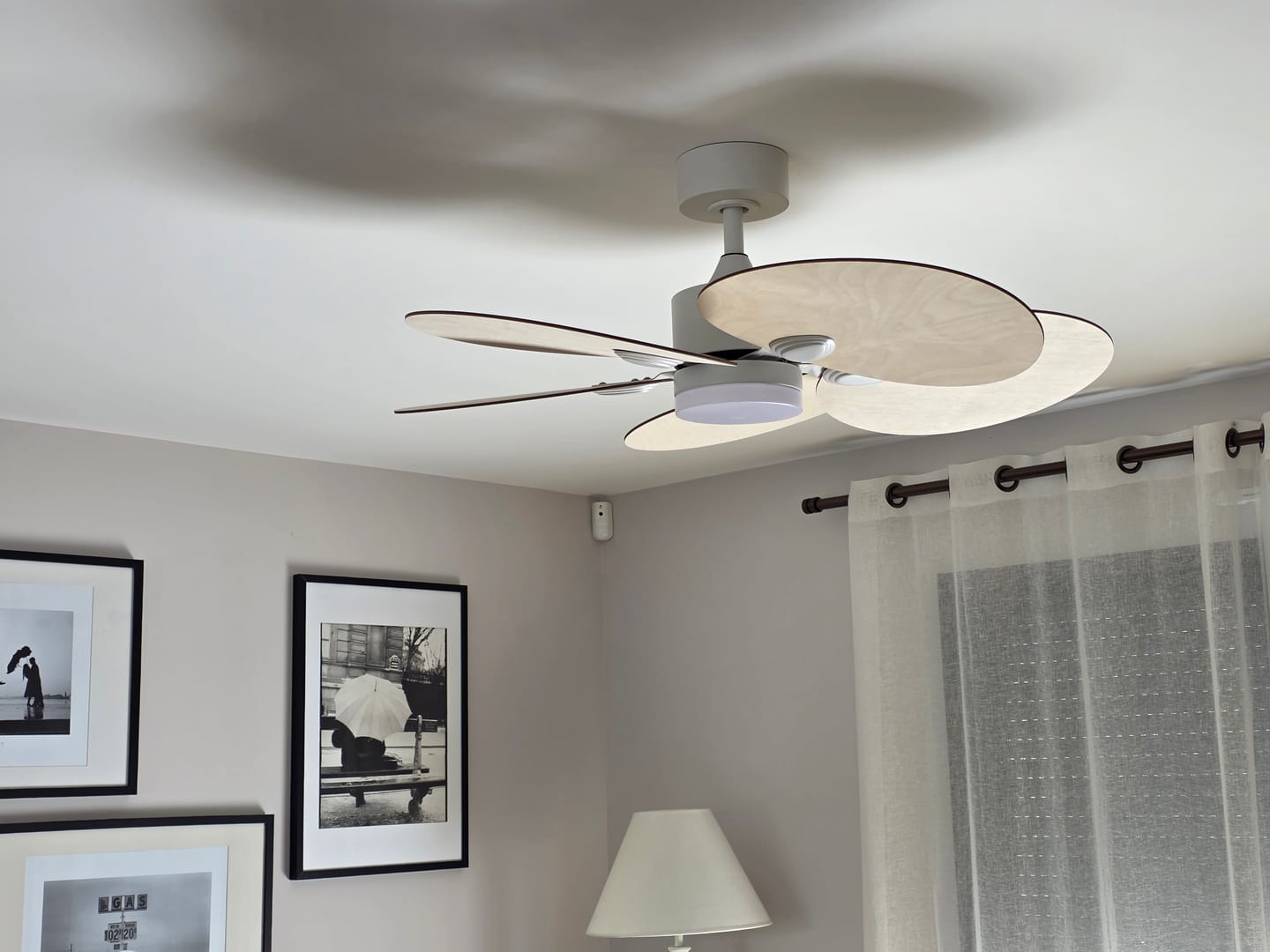 Customer photo review of Lotus | Ventilateur de plafond