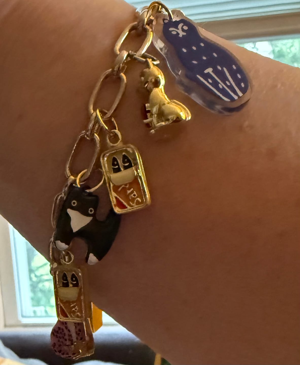 Customer photo review of 5 CHARM BUNDLE - (NO CHAIN) Pick Your Charms TT LIVE
