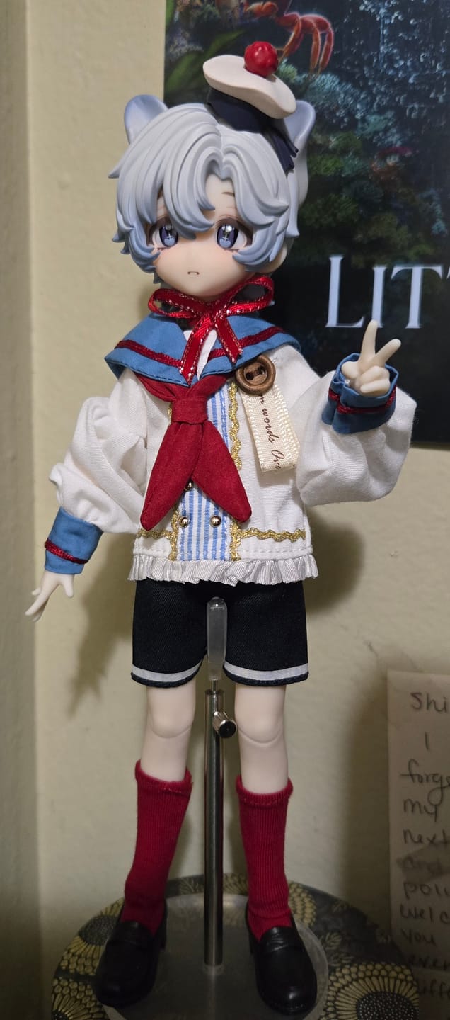 Customer photo review of Boxed Furry Series 1/8 Action Figure BJD Blind Box【Shipped in Jul./Aug. 2026】