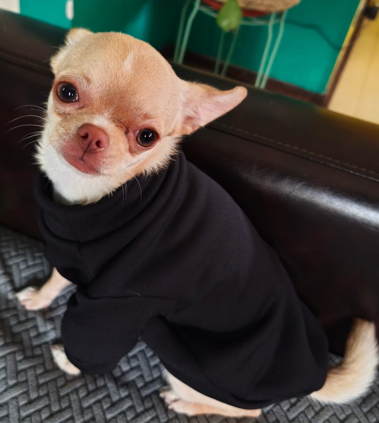 Customer photo review of Polera Térmica Power Stretch™
