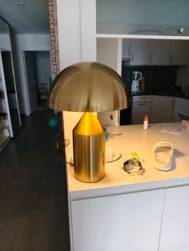 Customer photo review of Nordic Creative Designer Mushroom Head Table Lamp  Applicable To Bedroom Decoration Living Room Sofa Bedside Illumination