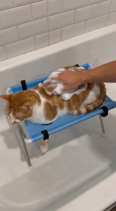 Customer photo review of Pet Grooming Hammock