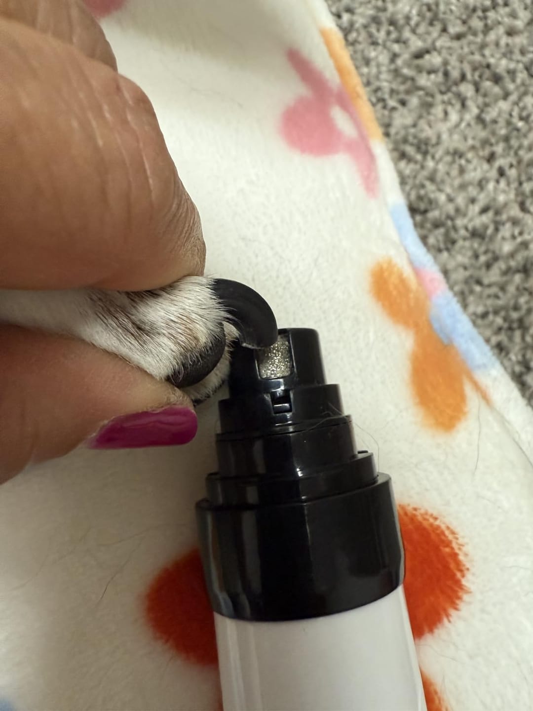 Customer photo review of PawHush Pro™