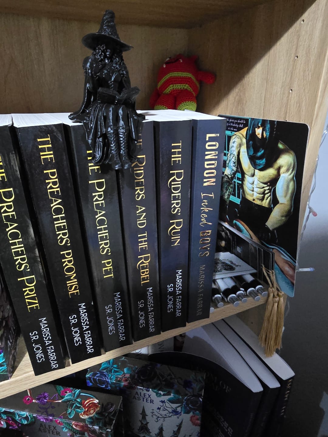 Customer photo review of The Riders and The Rebel Paperback