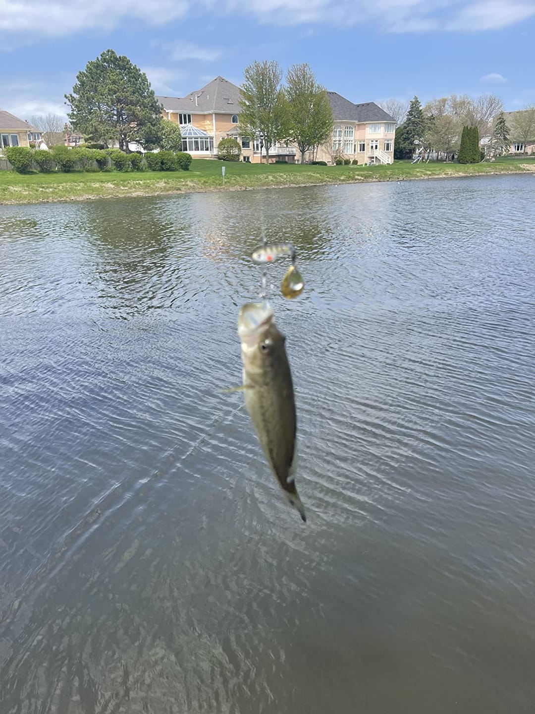 Customer photo review of Fishing Lures Spinner Rotating Tail Spinner Swimbaits