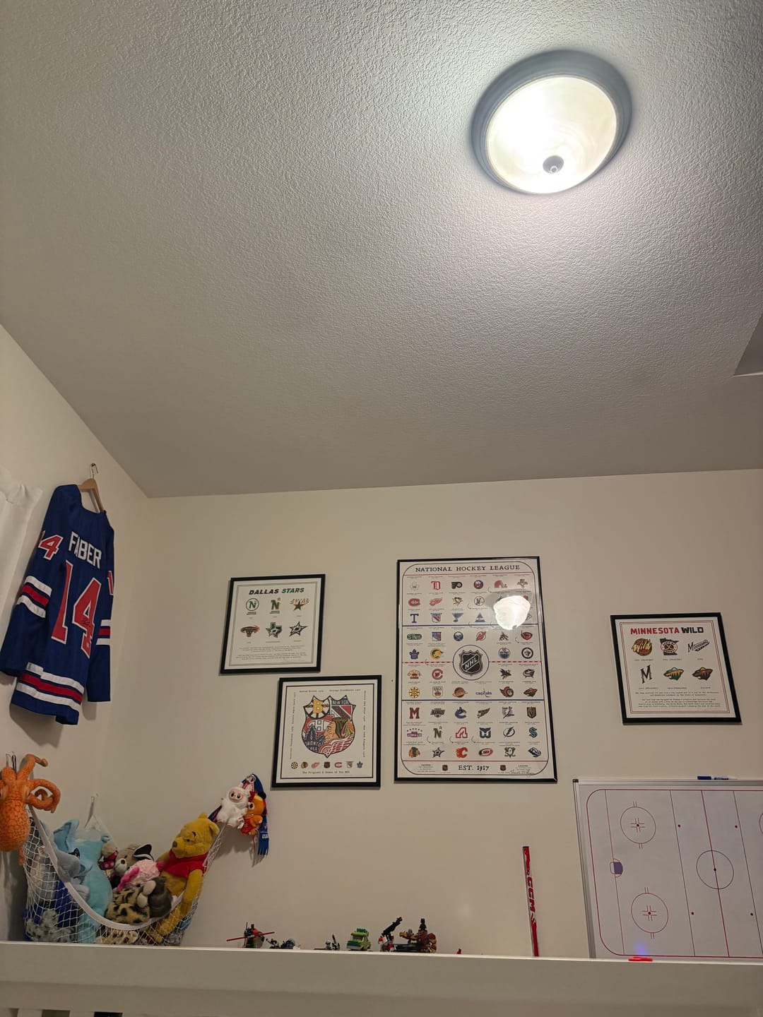 Customer photo review of The Logo Evolution of the Minnesota Wild