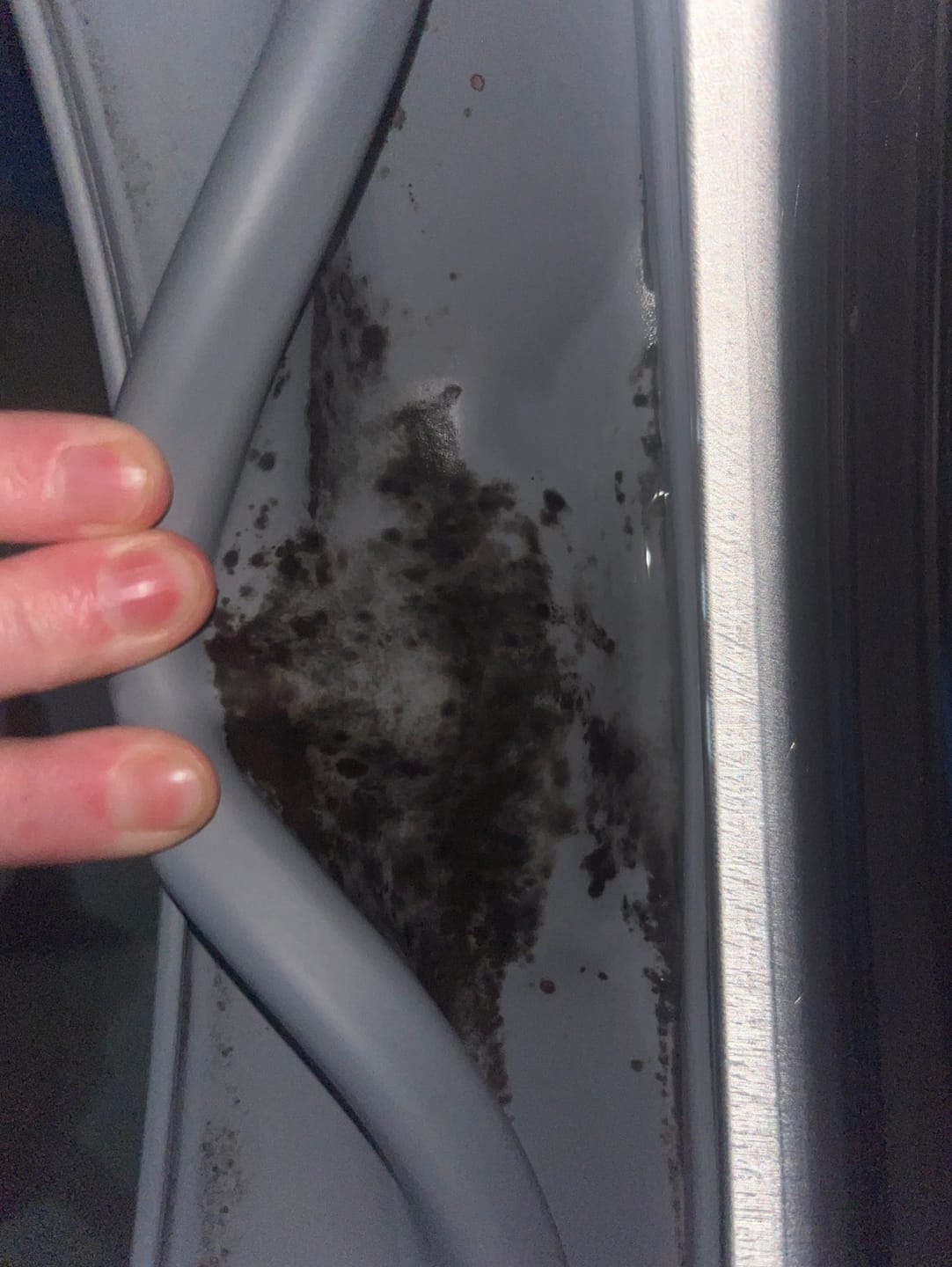 Customer photo review of GLASSGUARD® Glass Stain & Mould Remover Bundle