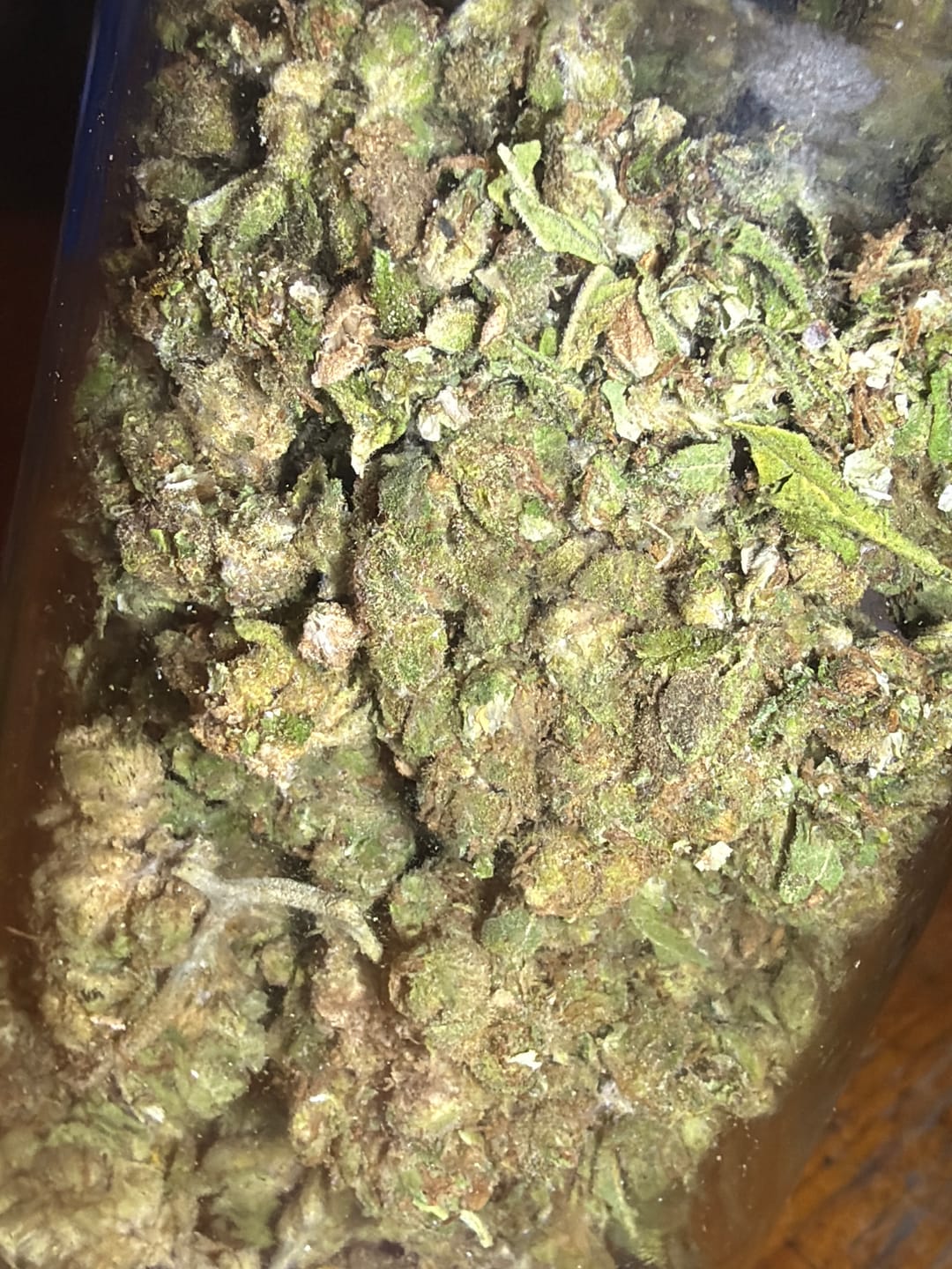 Customer photo review of Northern Lights - 28 Grams - Indica