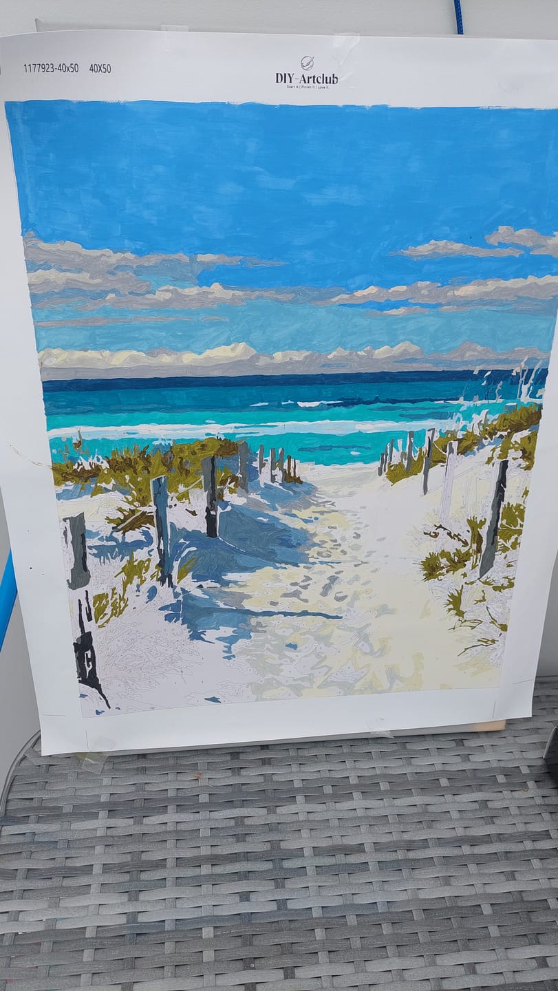 Customer photo review of Beach Path | Paint by Number