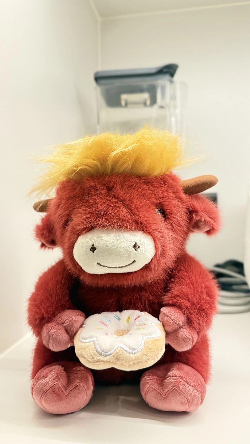 Customer photo review of Highland Cow Plushies