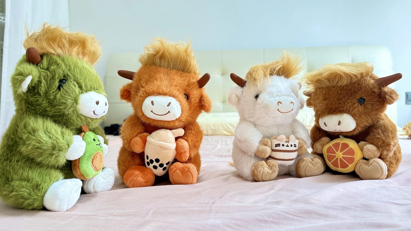 Customer photo review of Highland Cow Plushies