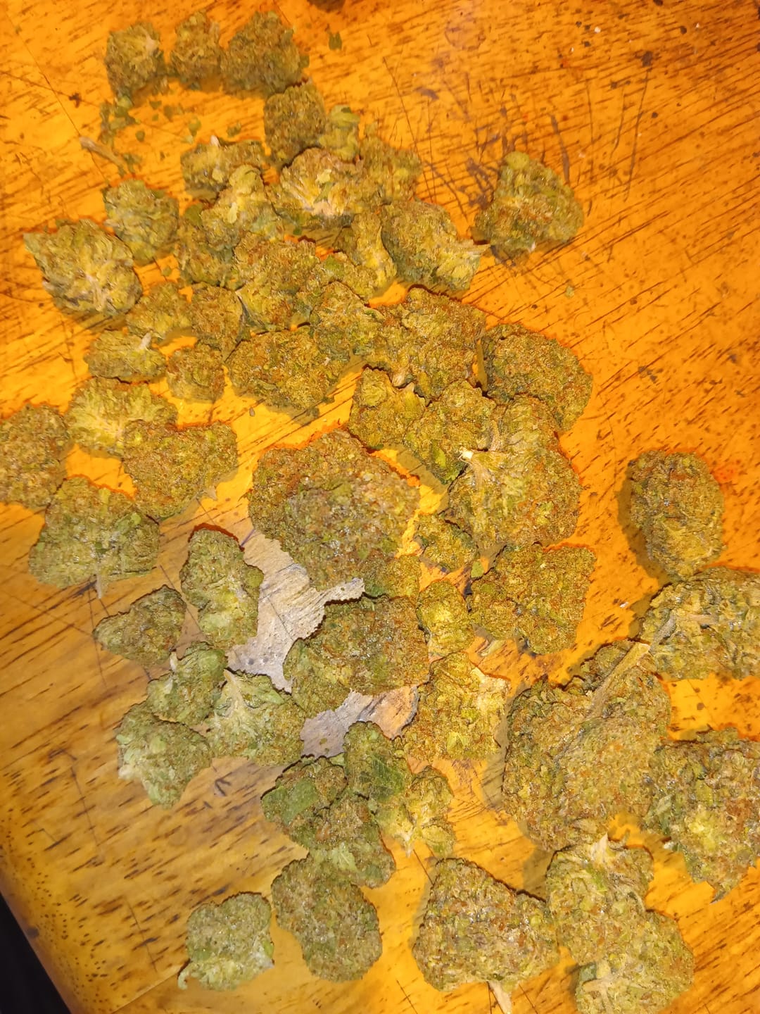 Customer photo review of Gotti OG THCA Don Flower