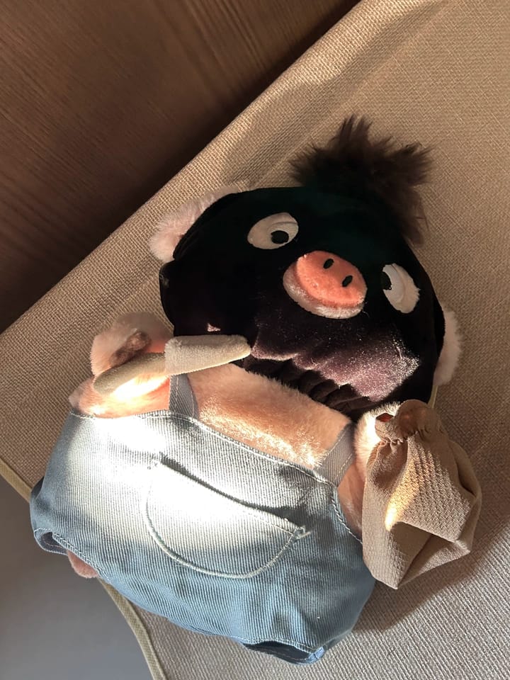 Customer photo review of Bonnie Pig