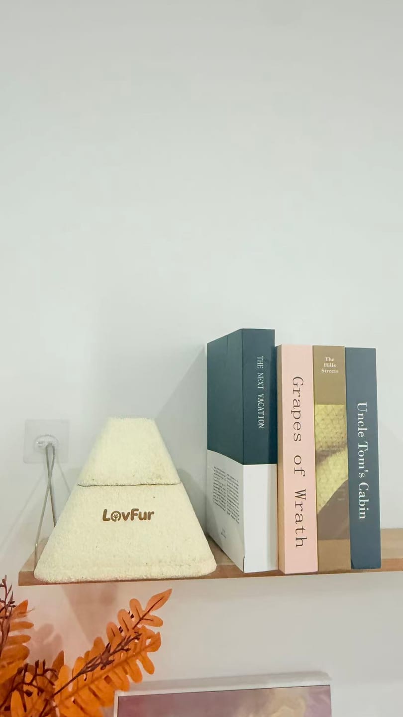 Customer photo review of LovFur™ Eternal Pyramid Mycelium Urn
